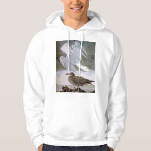 Audubon: Herring Gull Hoodie