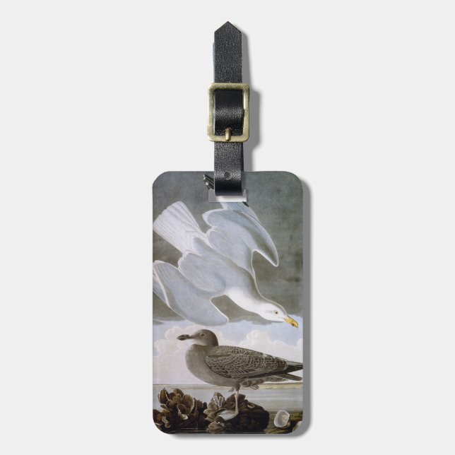 Audubon: Herring Gull Luggage Tag (Front Vertical)