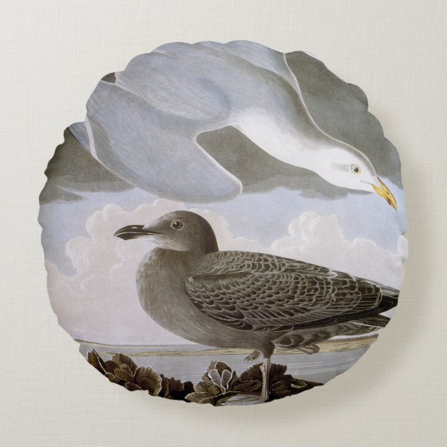 Audubon: Herring Gull Round Cushion (Front)