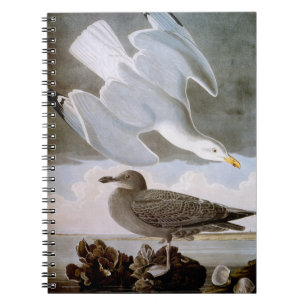 Audubon: Herring Gull Spiral Notebook