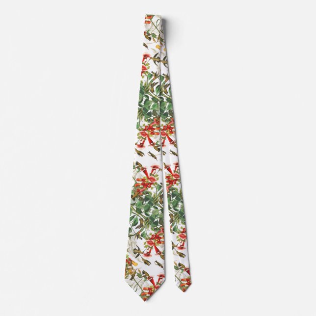 Audubon Hummingbird Birds Wildlife Floral Tie (Front)
