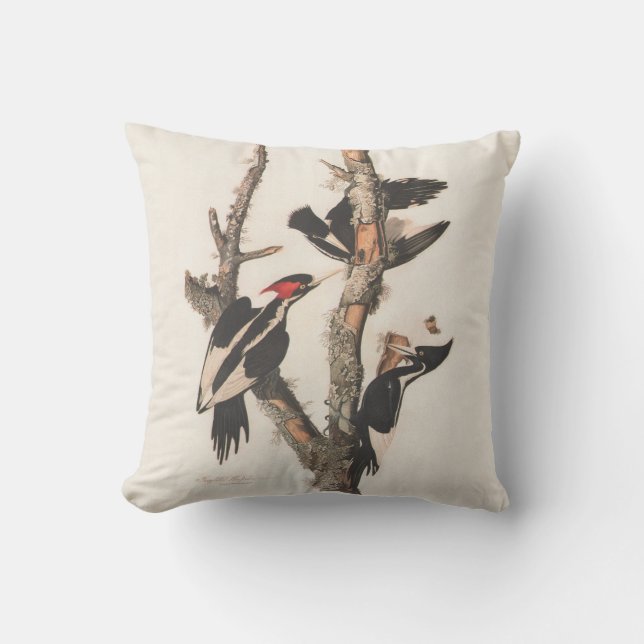 Audubon Ivory-Billed Woodpecker Cushion (Front)