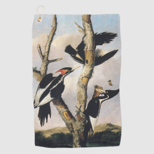Audubon Ivory-Billed Woodpecker Painting Golf Towel