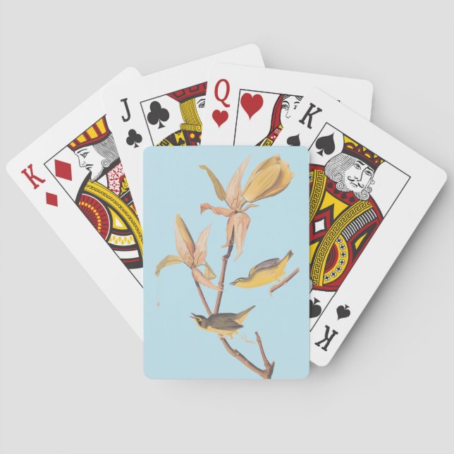 Audubon Kentucky Warblers on Magnolia Playing Cards (Back)