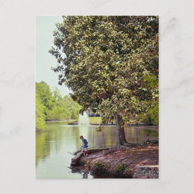 Audubon Lagoon Postcard (Front)