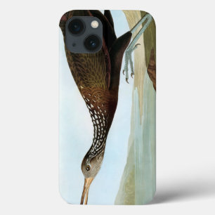 Audubon: Limpkin iPhone 13 Case
