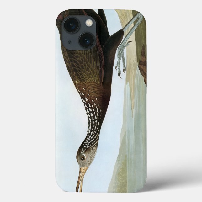 Audubon: Limpkin Case-Mate iPhone Case (Back)