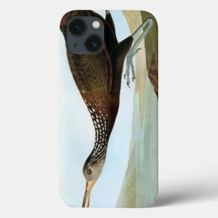 Audubon: Limpkin iPhone 13 Case