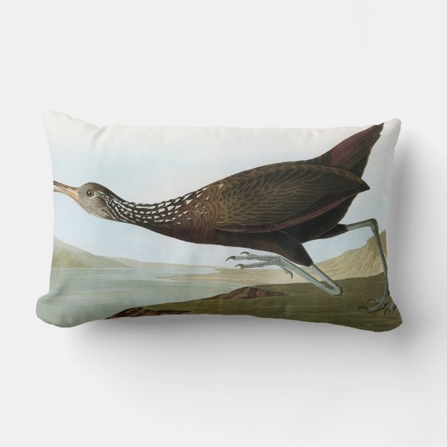 Audubon: Limpkin Lumbar Cushion (Front)