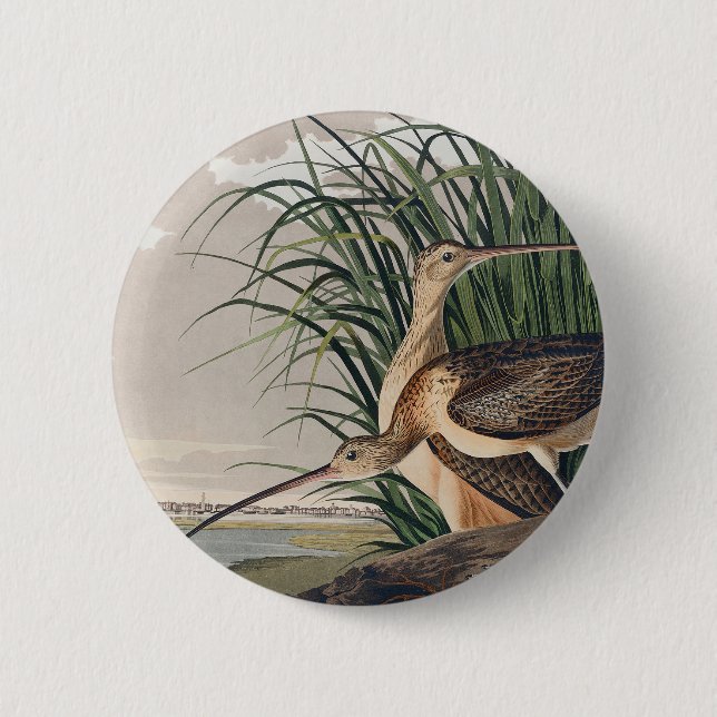 Audubon Long-Billed Curlew Bird 6 Cm Round Badge (Front)