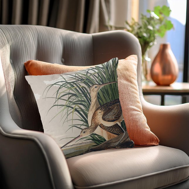 Audubon Long-Billed Curlew Bird Cushion (Creator Uploaded)