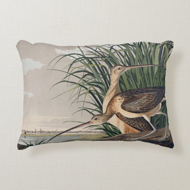 Audubon Long-Billed Curlew Bird Decorative Cushion (Front)