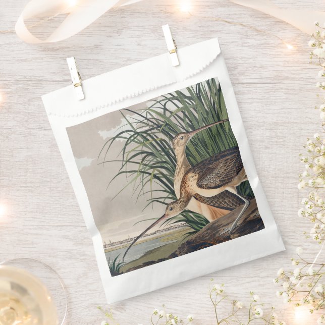 Audubon Long-Billed Curlew Bird Favour Bags (Clipped)