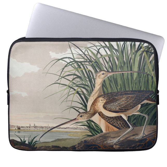 Audubon Long-Billed Curlew Bird Laptop Sleeve (Front)