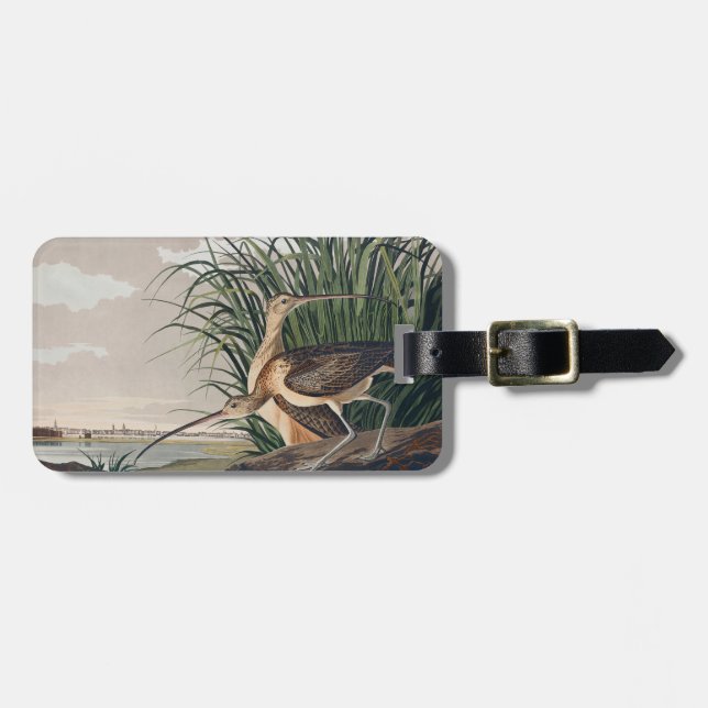 Audubon Long-Billed Curlew Bird Luggage Tag (Front Horizontal)
