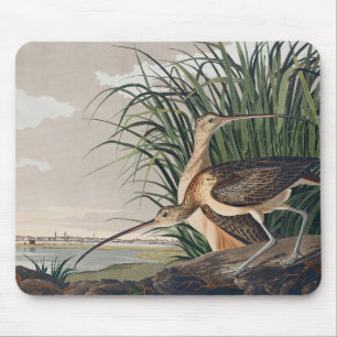 Audubon Long-Billed Curlew Bird Mouse Pad