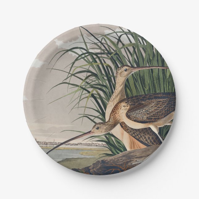 Audubon Long-Billed Curlew Bird Paper Plate (Front)