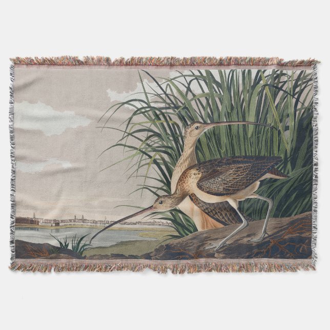Audubon Long-Billed Curlew Bird Throw Blanket (Front)