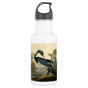 Audubon Louisiana Heron Birds America Art 532 Ml Water Bottle
