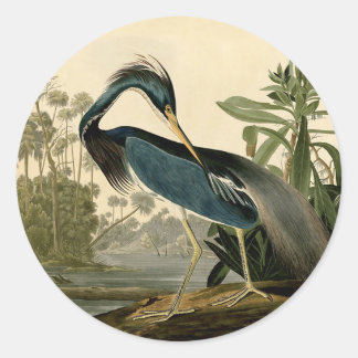 Audubon Louisiana Heron Birds America Art Classic Round Sticker