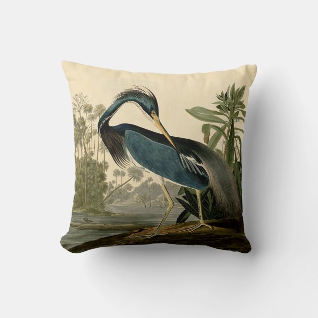 Audubon Louisiana Heron Birds America Art Cushion (Front)