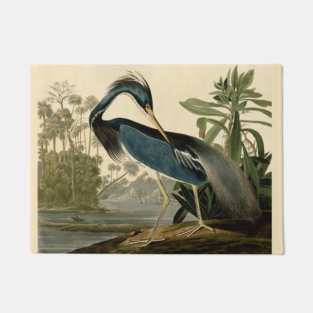 Audubon Louisiana Heron Birds America Art Doormat (Front)