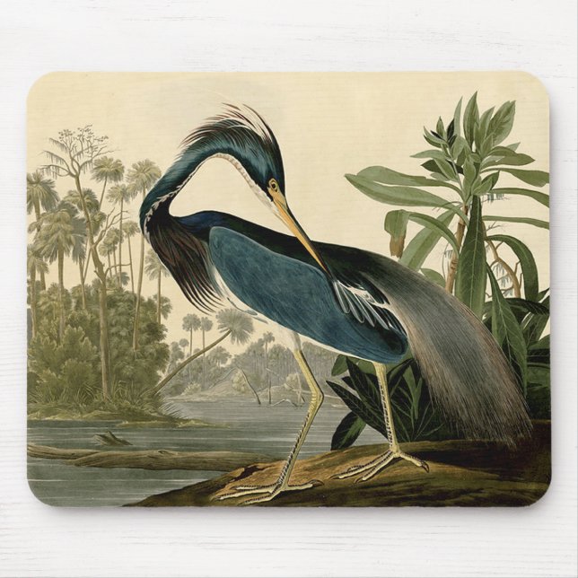 Audubon Louisiana Heron Birds America Art Mouse Pad (Front)