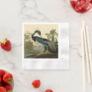 Audubon Louisiana Heron Birds America Art Napkin