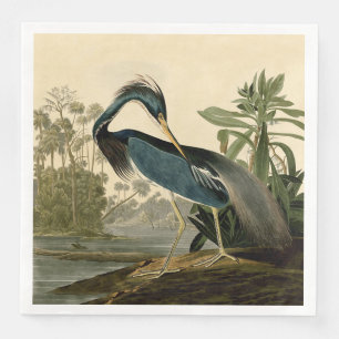 Audubon Louisiana Heron Birds America Art Napkin