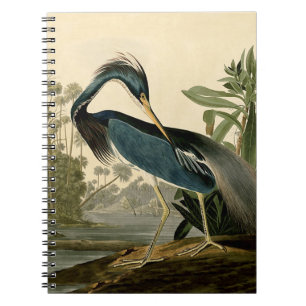 Audubon Louisiana Heron Birds America Art Spiral Notebook