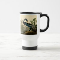 Audubon Louisiana Heron Birds America Art