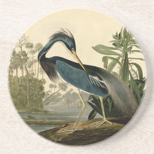 Audubon Louisiana Heron Coaster