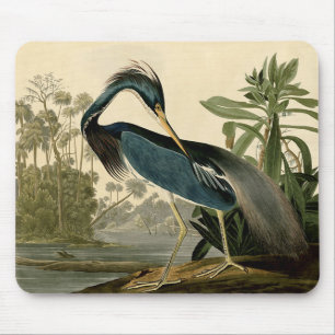 Audubon Louisiana Heron Mouse Pad