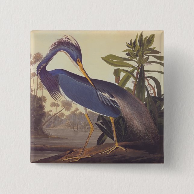 Audubon Lousiana Heron on Coastal Marsh Land 15 Cm Square Badge (Front)