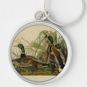 Audubon Mallard Duck Key Ring