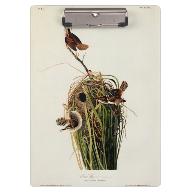 Audubon Marsh Wren Bird Art Clipboard (Front)