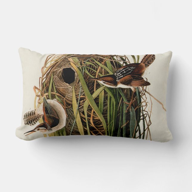 Audubon Marsh Wren Bird Art Lumbar Cushion (Front)