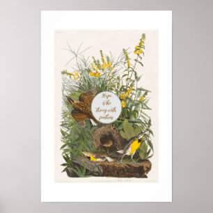 Audubon Meadowlark Botanical Print