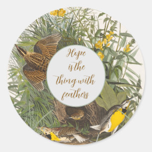 Audubon Meadowlark Botanical Print Classic Round Sticker