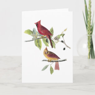 Audubon Northern Cardinal Card