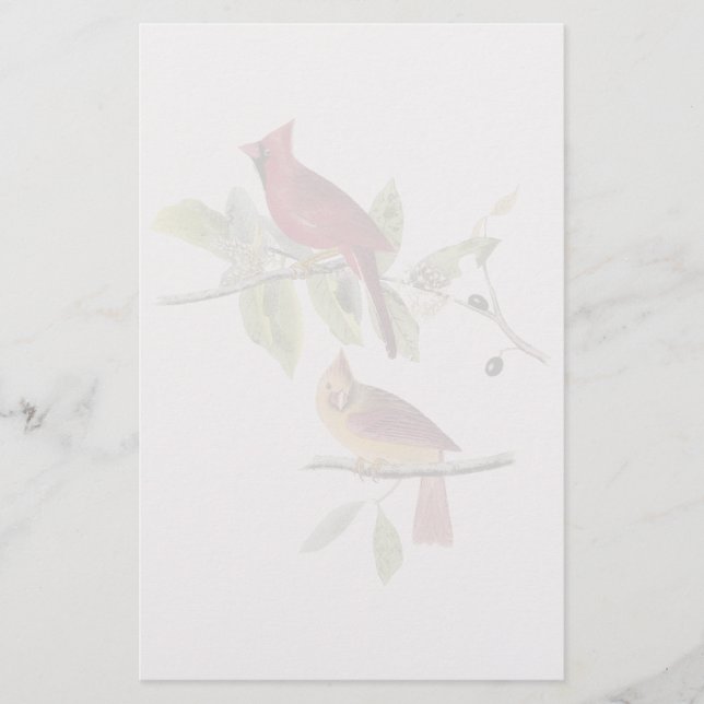 Audubon Northern Cardinal Stationery (Front)
