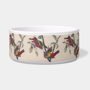 Audubon Painted Bunting Bird Wildlife