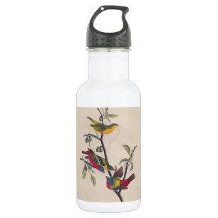 Audubon Painted Bunting Bird Wildlife 532 Ml Water Bottle