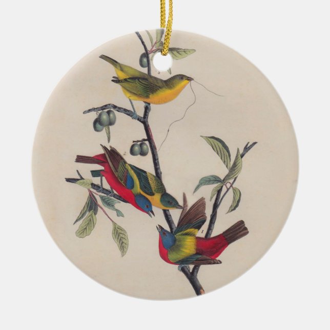 Audubon Painted Bunting Bird Wildlife Ceramic Tree Decoration (Front)
