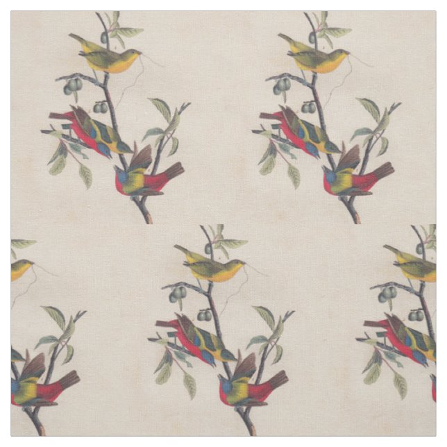 Audubon Painted Bunting Bird Wildlife Fabric (Swatch)
