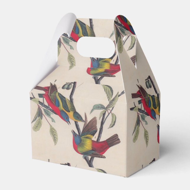 Audubon Painted Bunting Bird Wildlife Favour Box (Front Side)