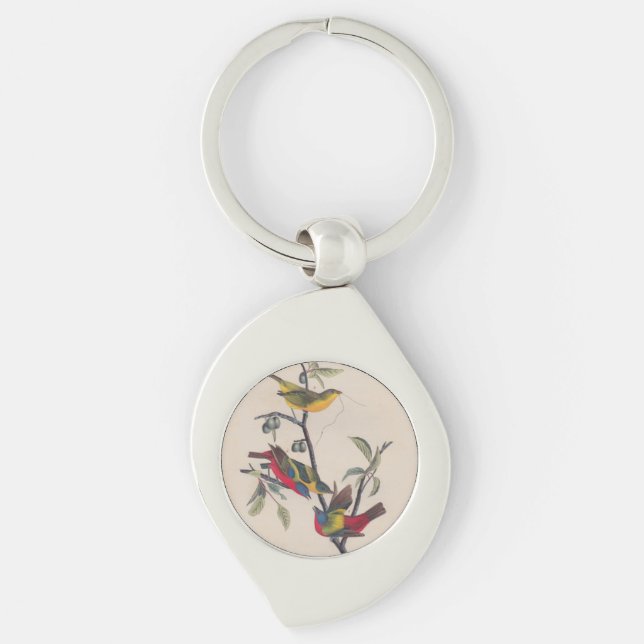 Audubon Painted Bunting Bird Wildlife Key Ring (Front)