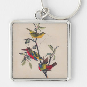 Audubon Painted Bunting Bird Wildlife Key Ring