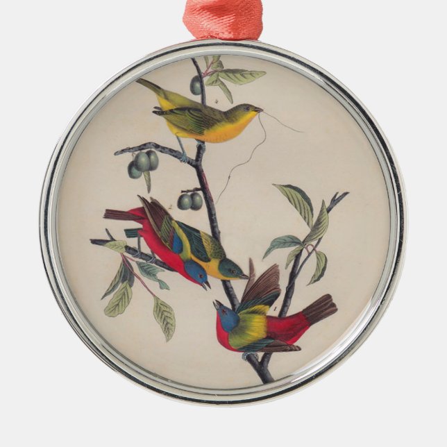Audubon Painted Bunting Bird Wildlife Metal Tree Decoration (Front)