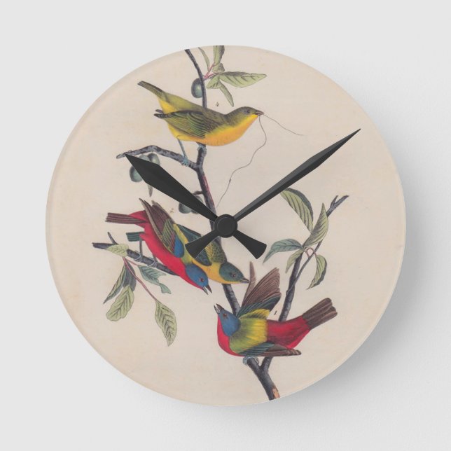 Audubon Painted Bunting Bird Wildlife Round Clock (Front)